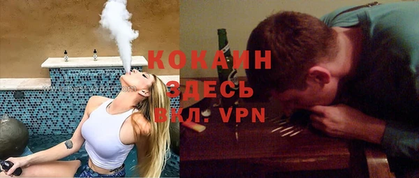 ГАЛЛЮЦИНОГЕННЫЕ ГРИБЫ Алексин