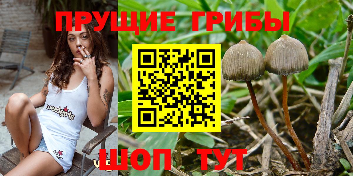 Галлюциногенные грибы GOLDEN TEACHER  Вход с VPN  Геленджик 